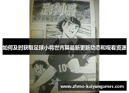如何及时获取足球小将世青篇最新更新动态和观看资源