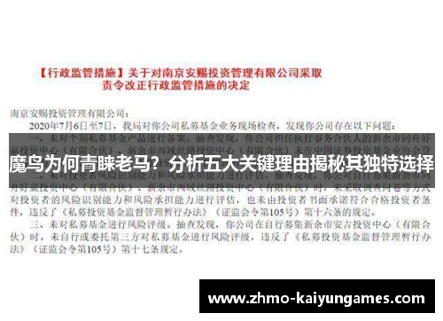 魔鸟为何青睐老马?分析五大关键理由揭秘其独特选择 魔鸟为何青睐老马?分析五大关键理由揭秘其独特选择