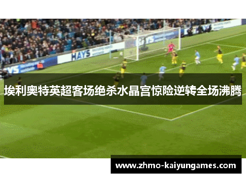 埃利奥特英超客场绝杀水晶宫惊险逆转全场沸腾 埃利奥特英超客场绝杀水晶宫惊险逆转全场沸腾